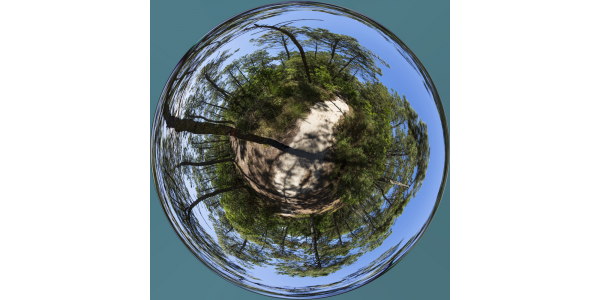 Cap Ferret - forêt