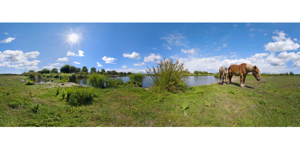La Brière