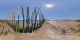Cap Ferret - parcs à huîtres