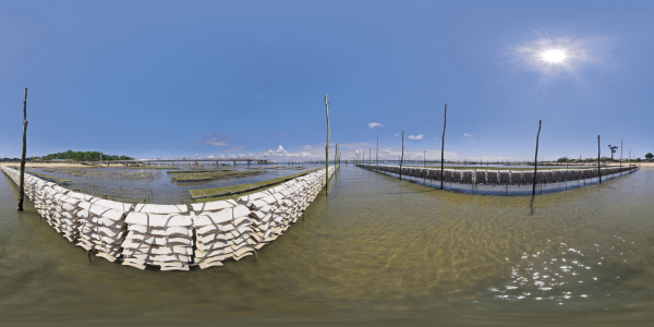 Cap Ferret - parcs à huîtres