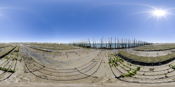 Cap Ferret - parcs à huîtres