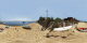Cap Ferret - Le Mimbeau