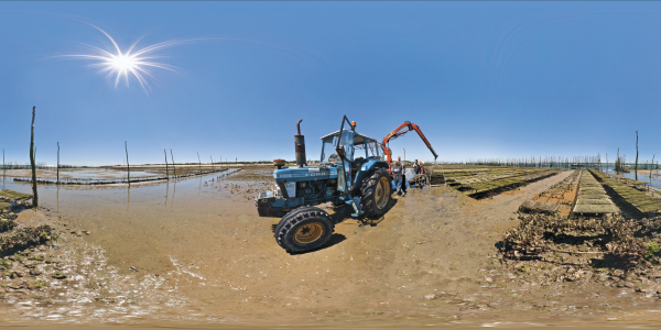 Le Cap Ferret - tracteur dans les parcs à huîtres