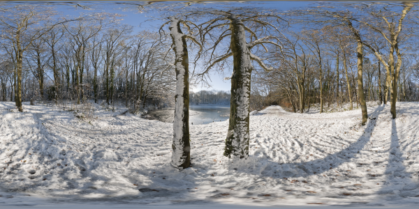 Louveciennes sous la neige II